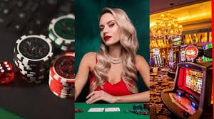 vs555 casino